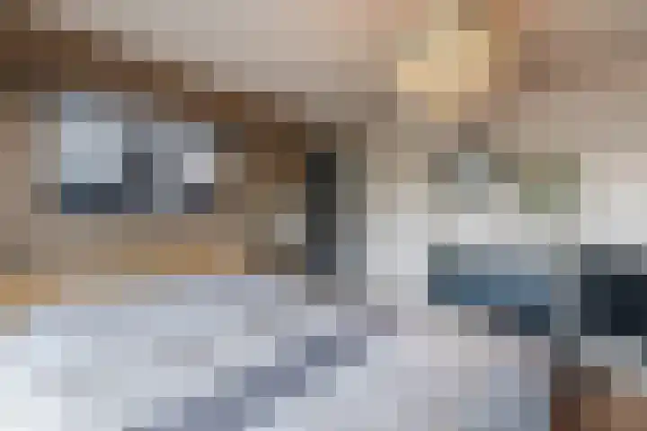 Dijkveldstraat 56 Echt thumbnail 35