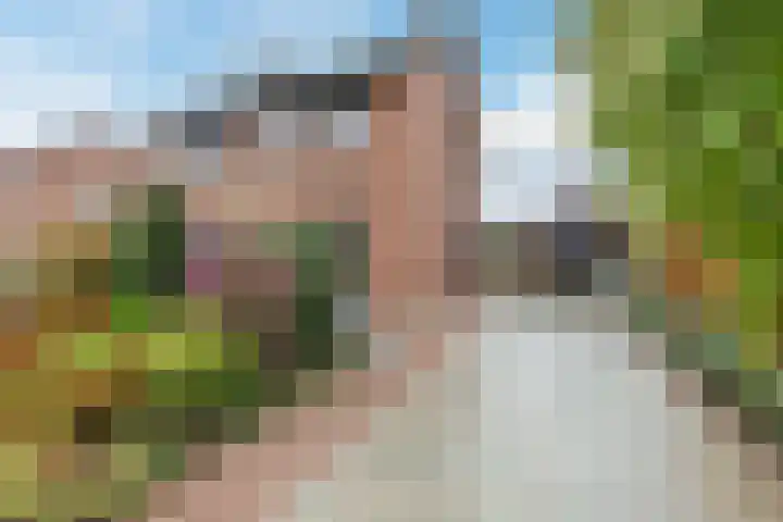 Dijkveldstraat 56 Echt thumbnail 4