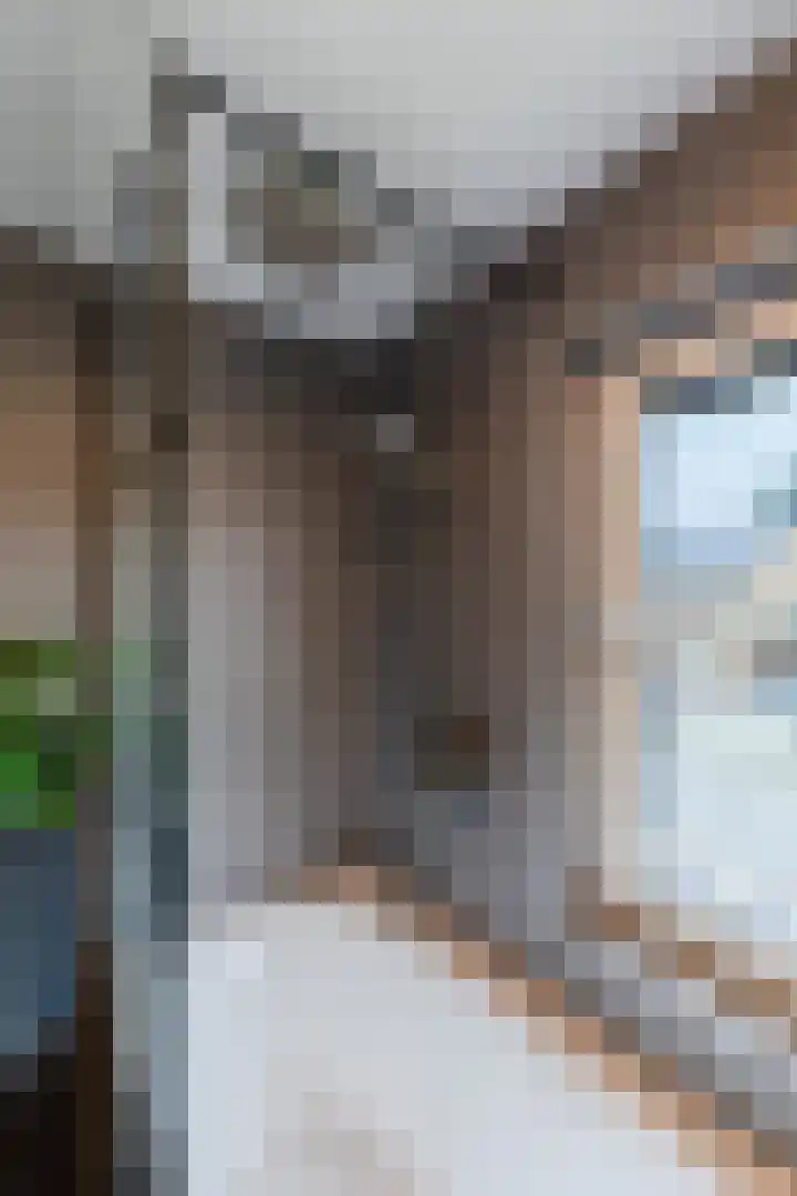 Dijkveldstraat 56 Echt thumbnail 41