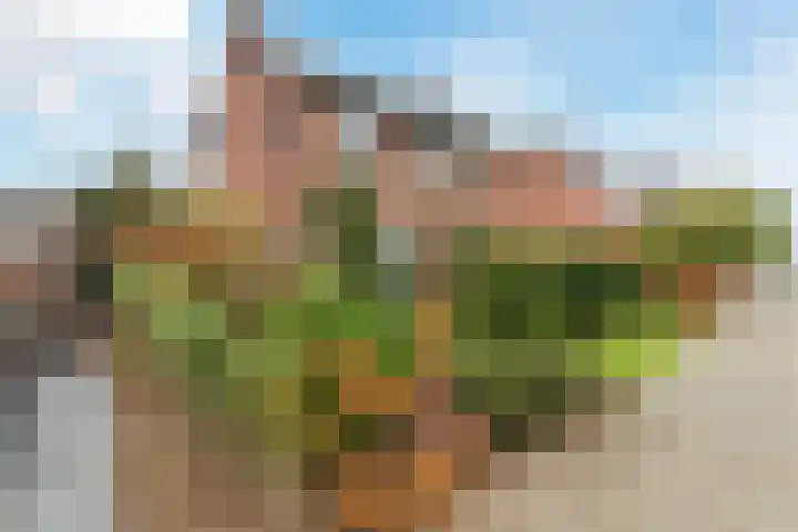 Dijkveldstraat 56 Echt thumbnail 7