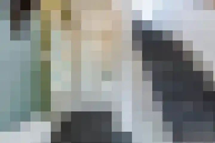 Dijkveldstraat 56 Echt thumbnail 9