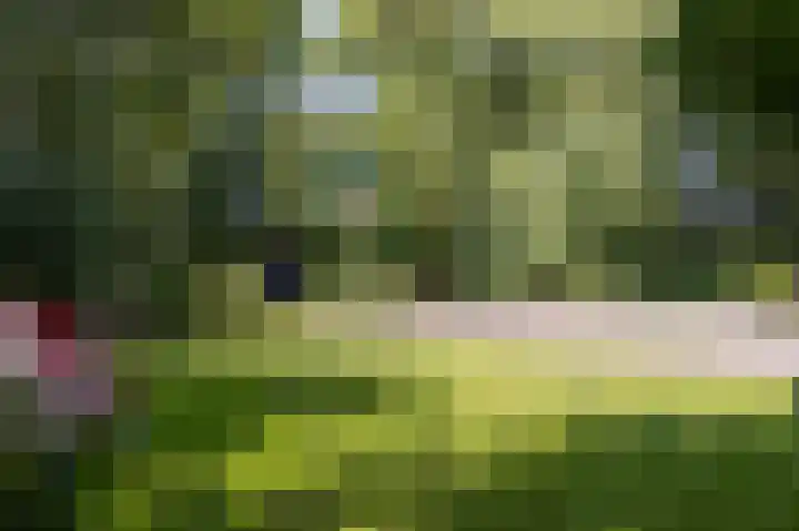 Dijkweg 211 Andijk thumbnail 17
