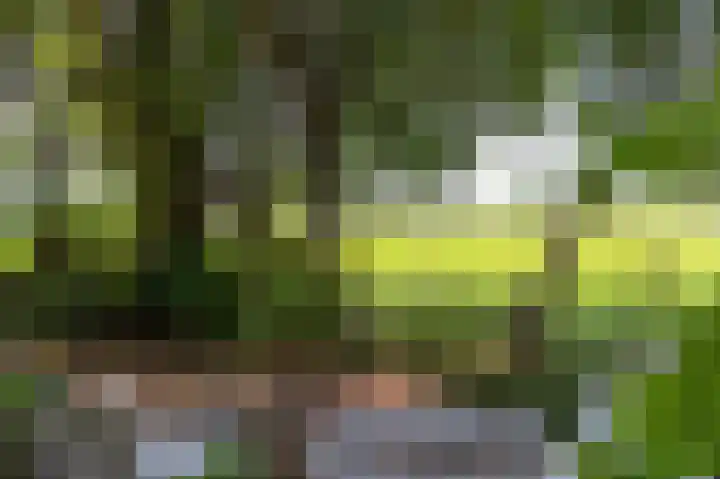 Dijkweg 211 Andijk thumbnail 20