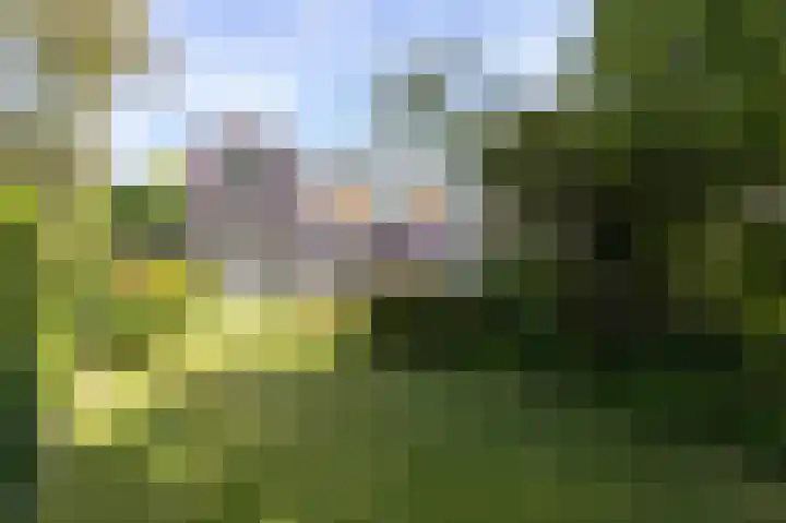 Dijkweg 211 Andijk thumbnail 4