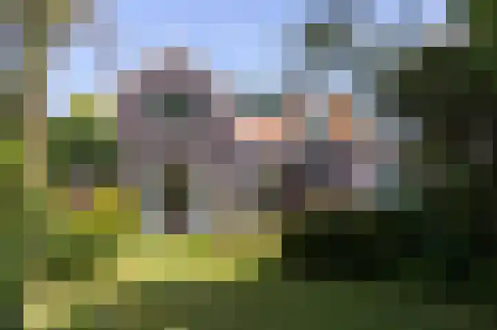 Dijkweg 211 Andijk thumbnail 8