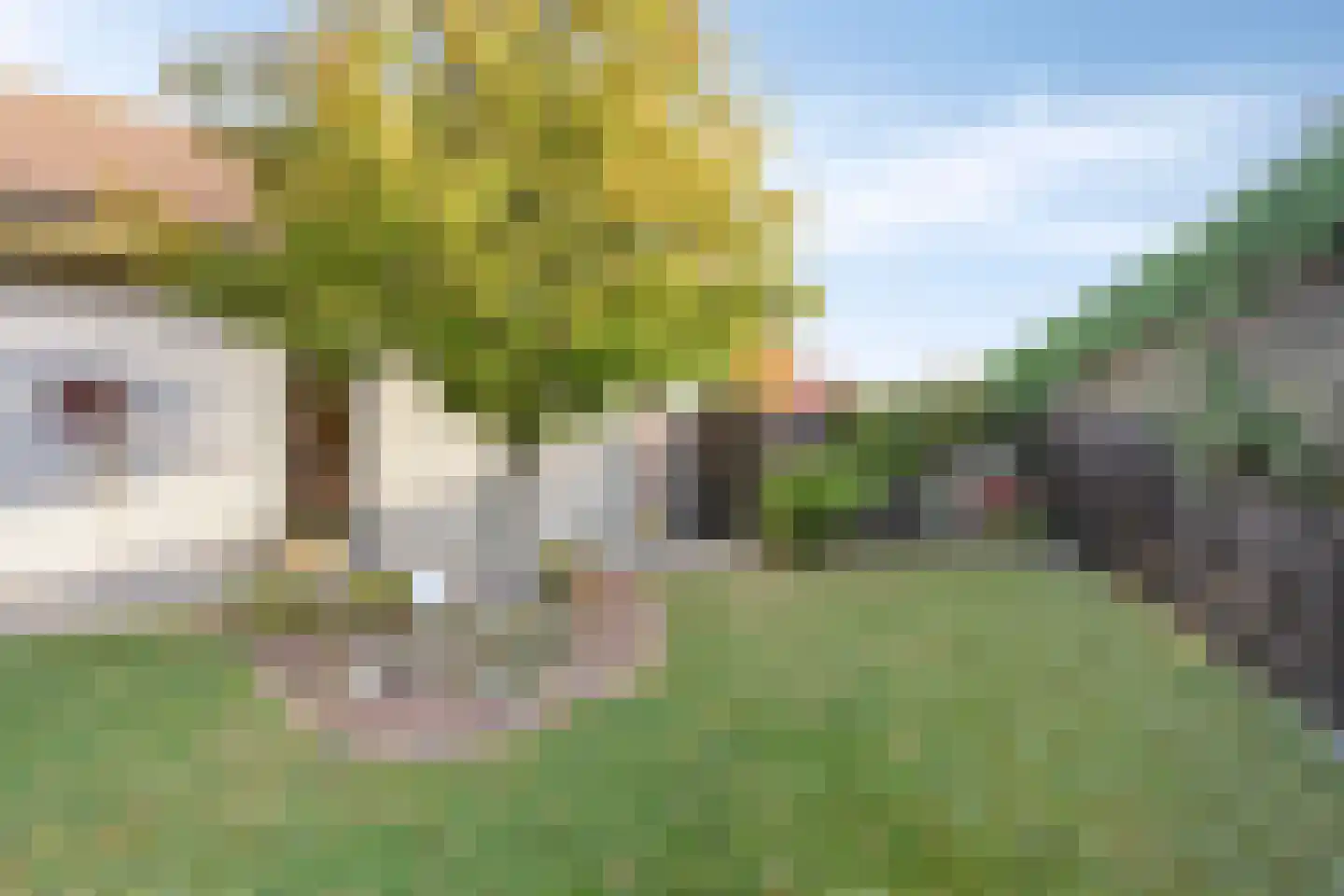 Dijkweg 26 Stavenisse thumbnail 36