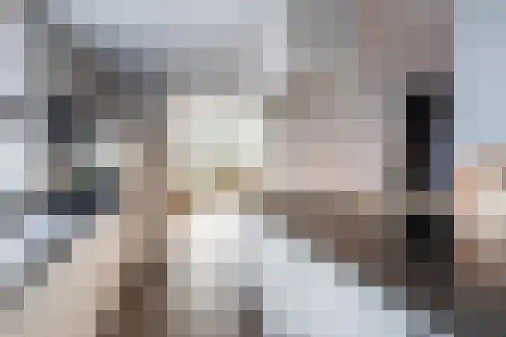 Dijkweg 77 A Naaldwijk thumbnail 4