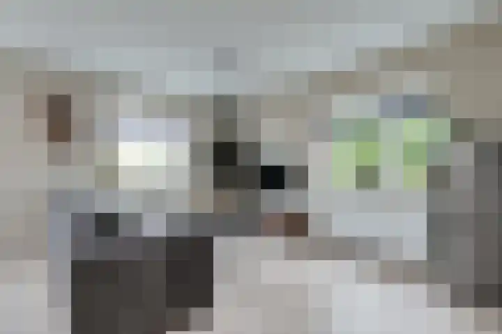 Dijkweg 83 b Andijk thumbnail 14