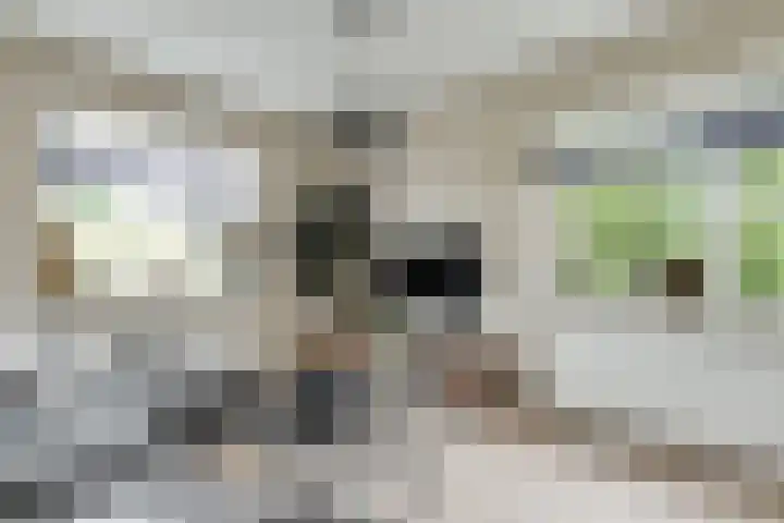 Dijkweg 83 b Andijk thumbnail 16