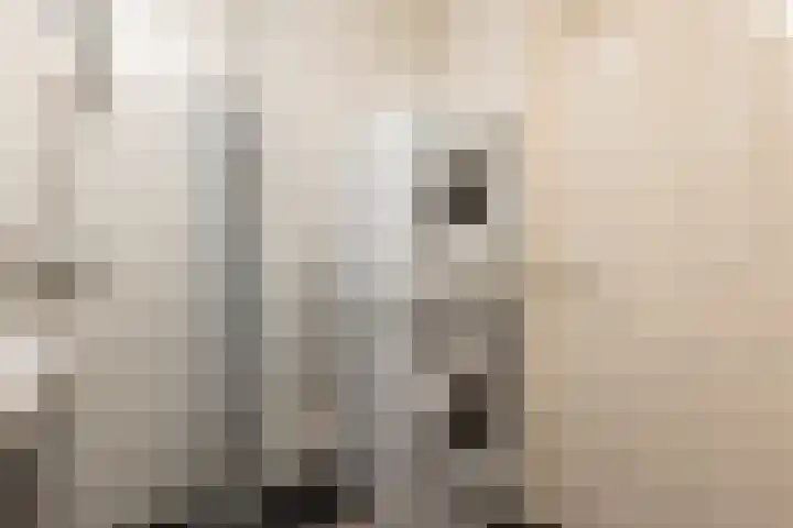 Dijkweg 83 b Andijk thumbnail 32
