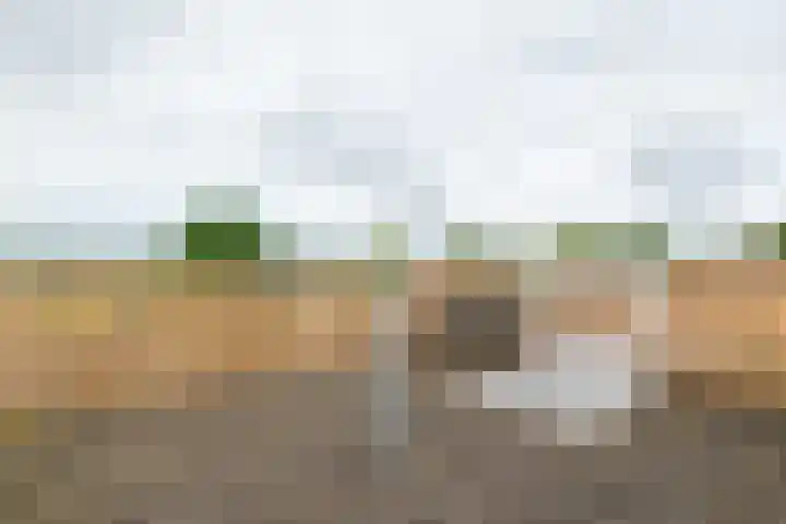 Dijkweg 83 b Andijk thumbnail 38