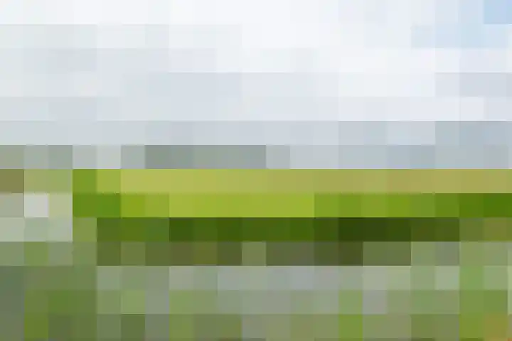 Dijkweg 83 b Andijk thumbnail 45