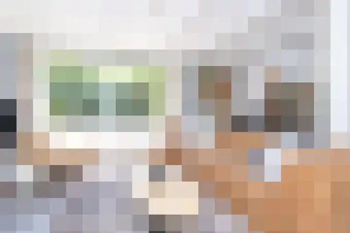 Dijkweg 87 Andijk thumbnail 18