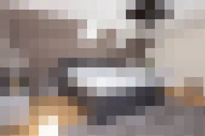 Dijkweg 87 Andijk thumbnail 30