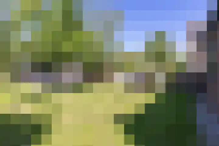 Dijkweg 87 Andijk thumbnail 4