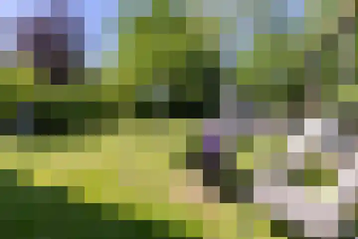 Dijkweg 87 Andijk thumbnail 41
