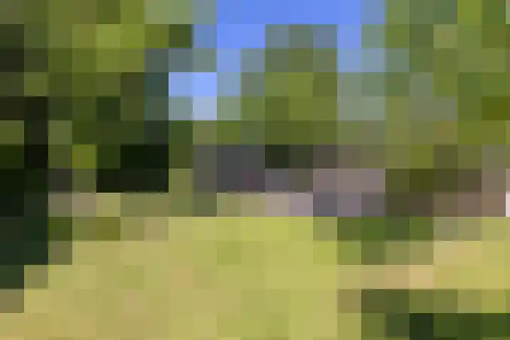 Dijkweg 87 Andijk thumbnail 44