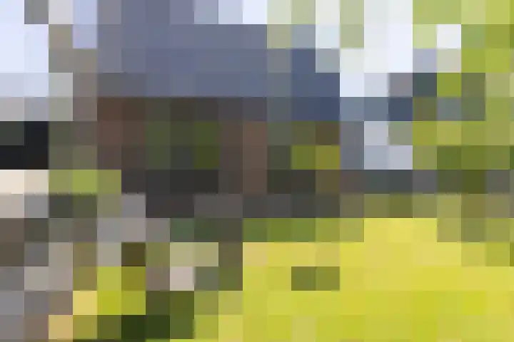 Dijkweg 87 Andijk thumbnail 6