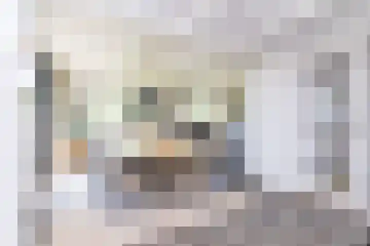 Dijkweg 87 Andijk thumbnail 9