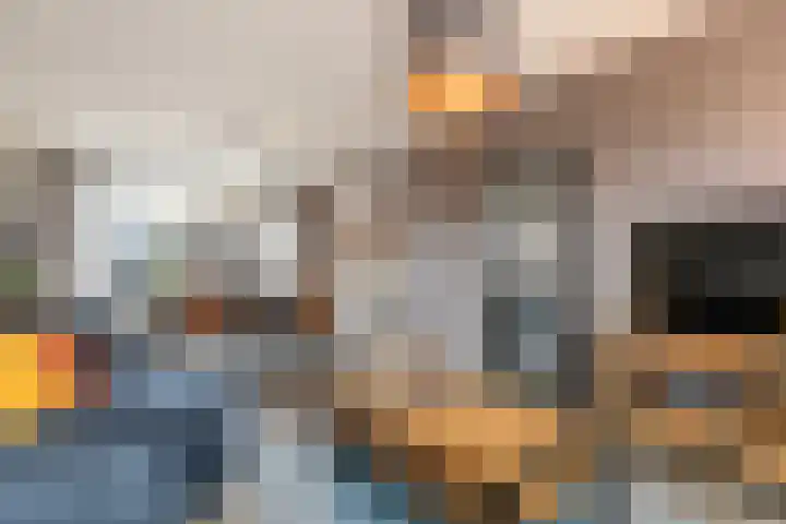 Dijkzicht 21 Wijhe thumbnail 11