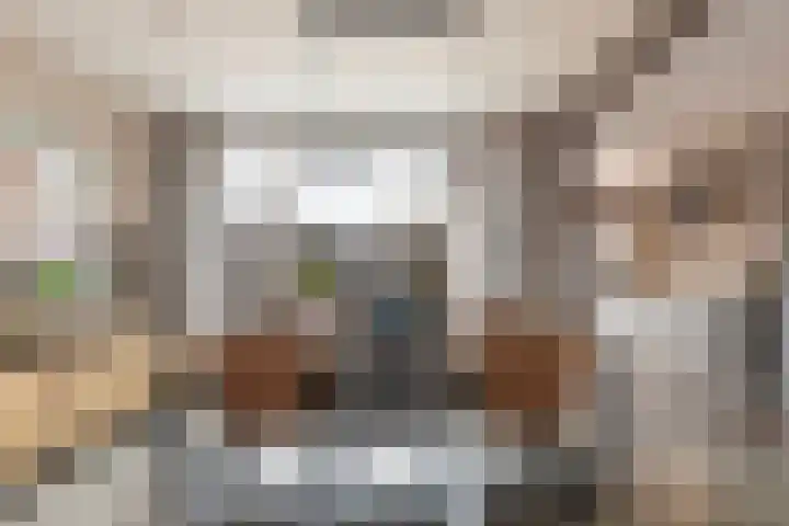 Dijkzicht 21 Wijhe thumbnail 12