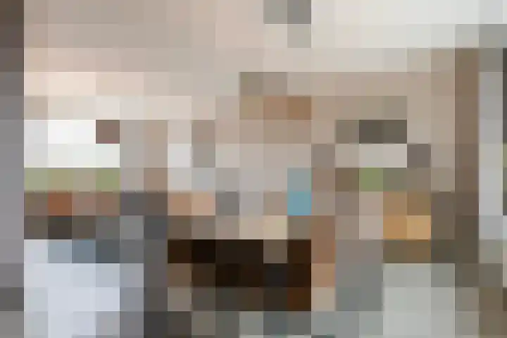 Dijkzicht 21 Wijhe thumbnail 13
