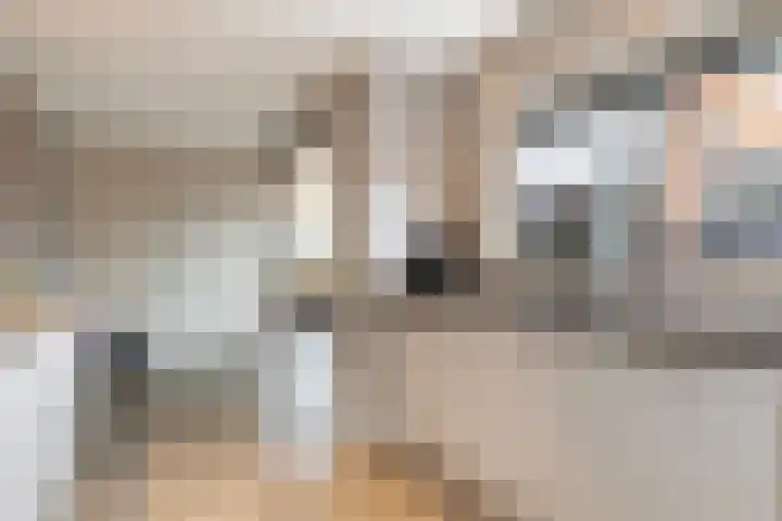 Dijkzicht 21 Wijhe thumbnail 15