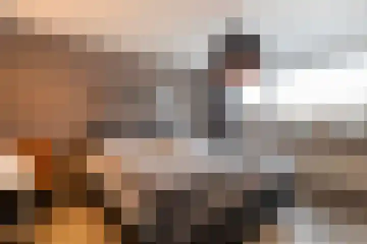 Dijkzicht 21 Wijhe thumbnail 24