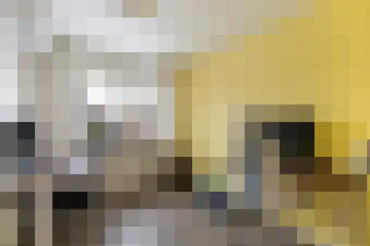 Dijkzicht 21 Wijhe thumbnail 26