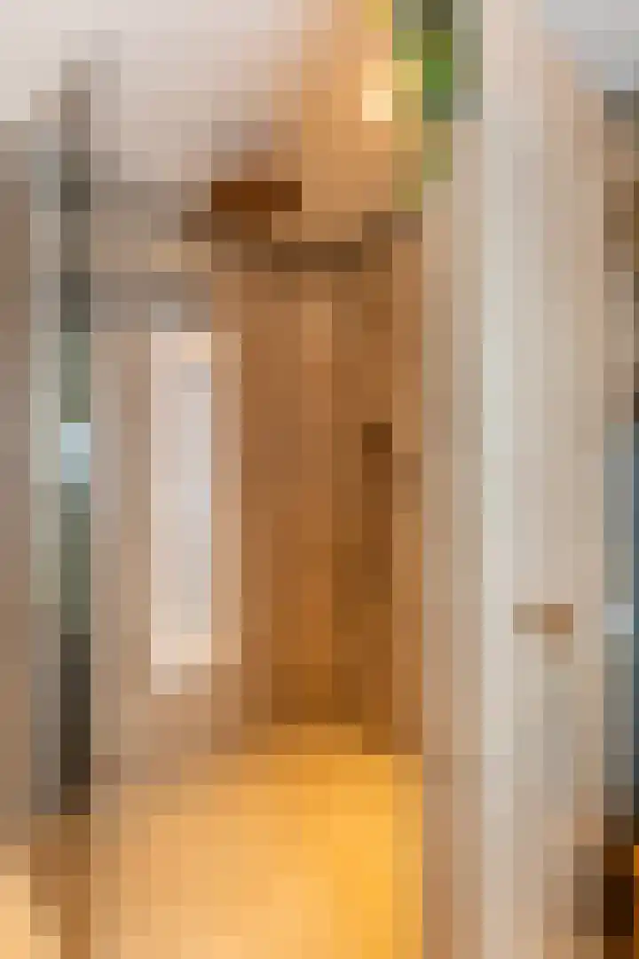 Dijkzicht 21 Wijhe thumbnail 31