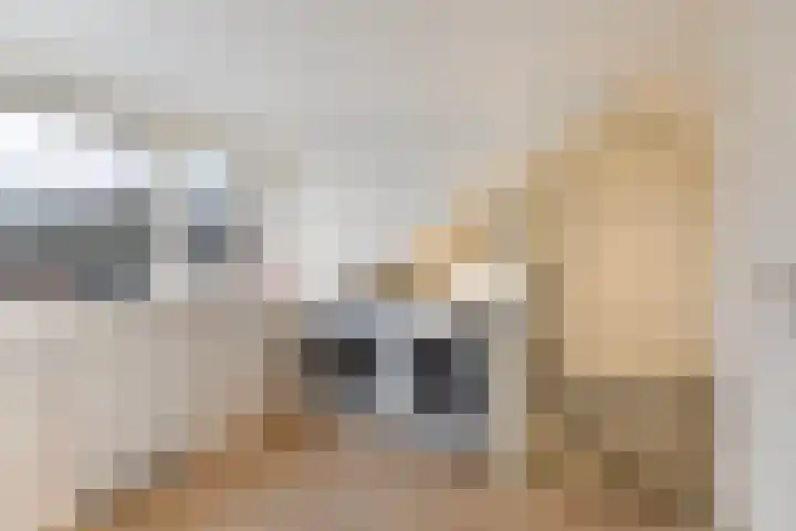 Dijkzicht 21 Wijhe thumbnail 32