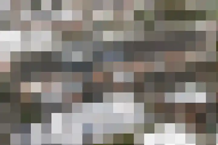 Dijkzicht 21 Wijhe thumbnail 35