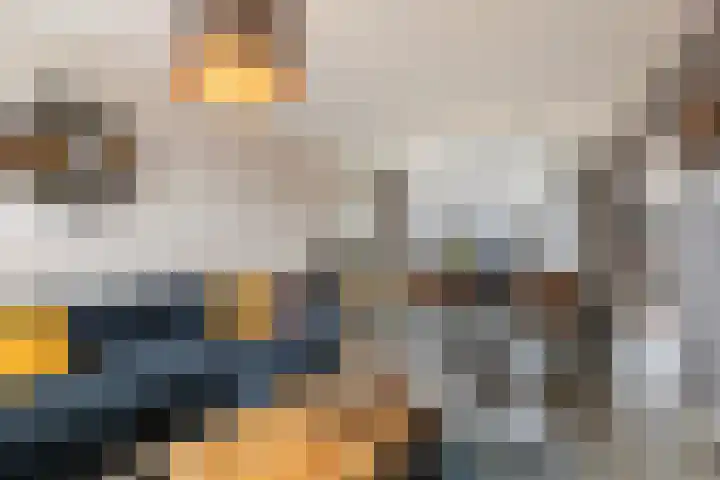 Dijkzicht 21 Wijhe thumbnail 8