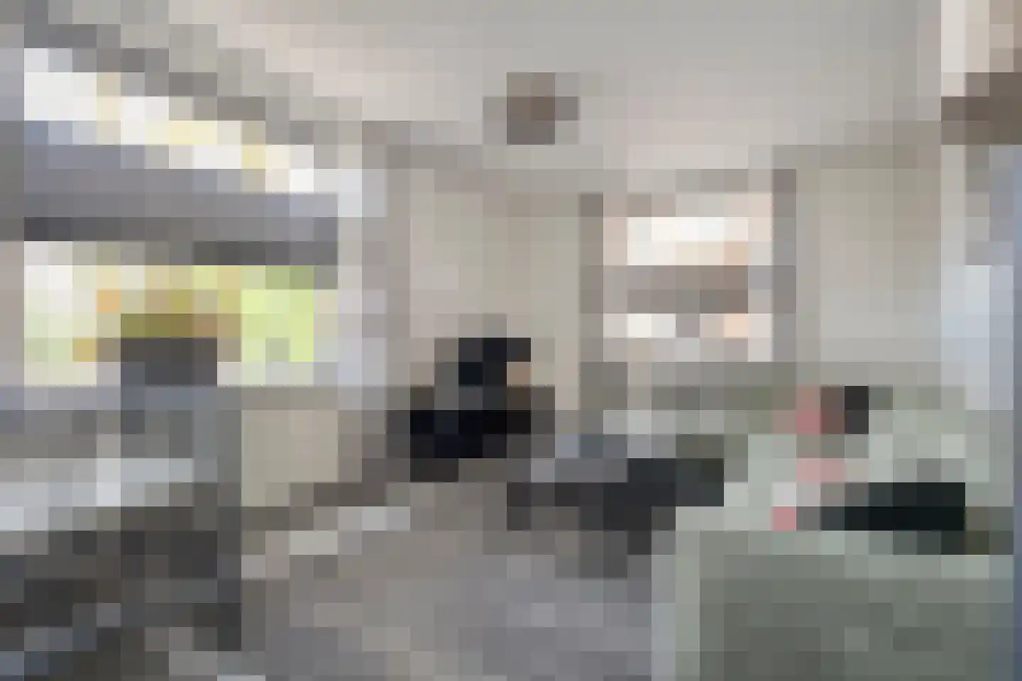 Dikkerslaan 16 Borne thumbnail 11
