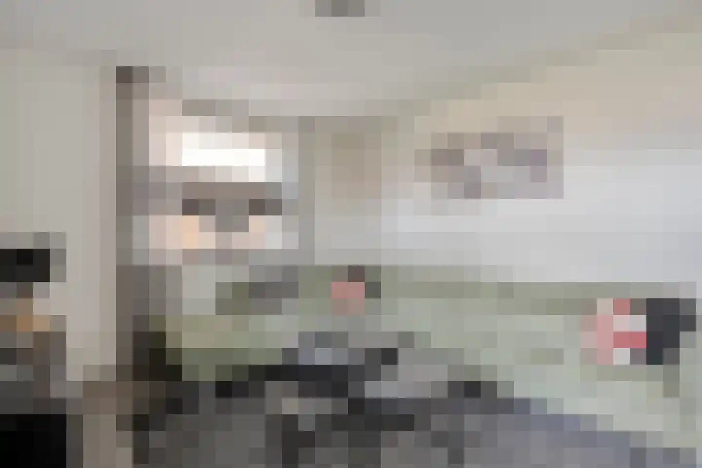 Dikkerslaan 16 Borne thumbnail 12