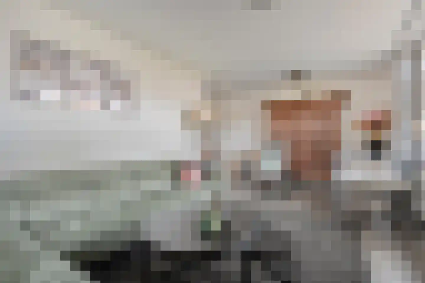Dikkerslaan 16 Borne thumbnail 13