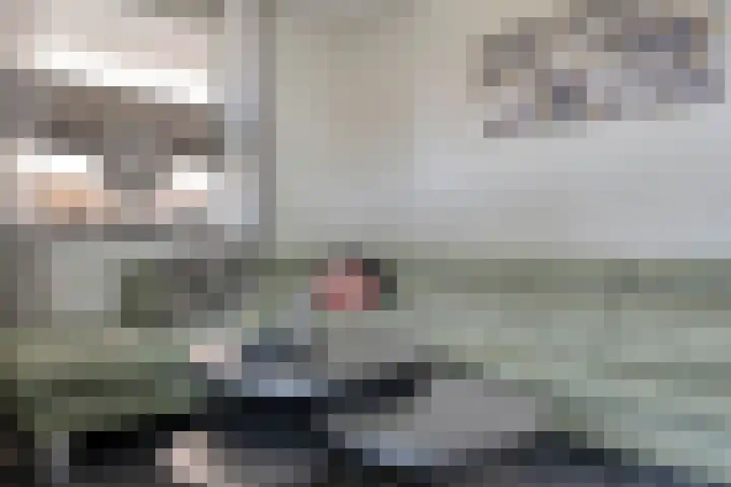 Dikkerslaan 16 Borne thumbnail 14