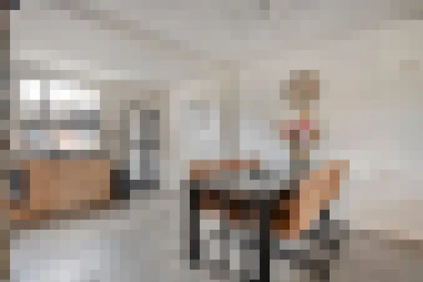Dikkerslaan 16 Borne thumbnail 15