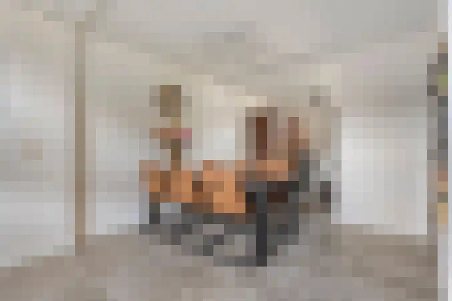 Dikkerslaan 16 Borne thumbnail 16
