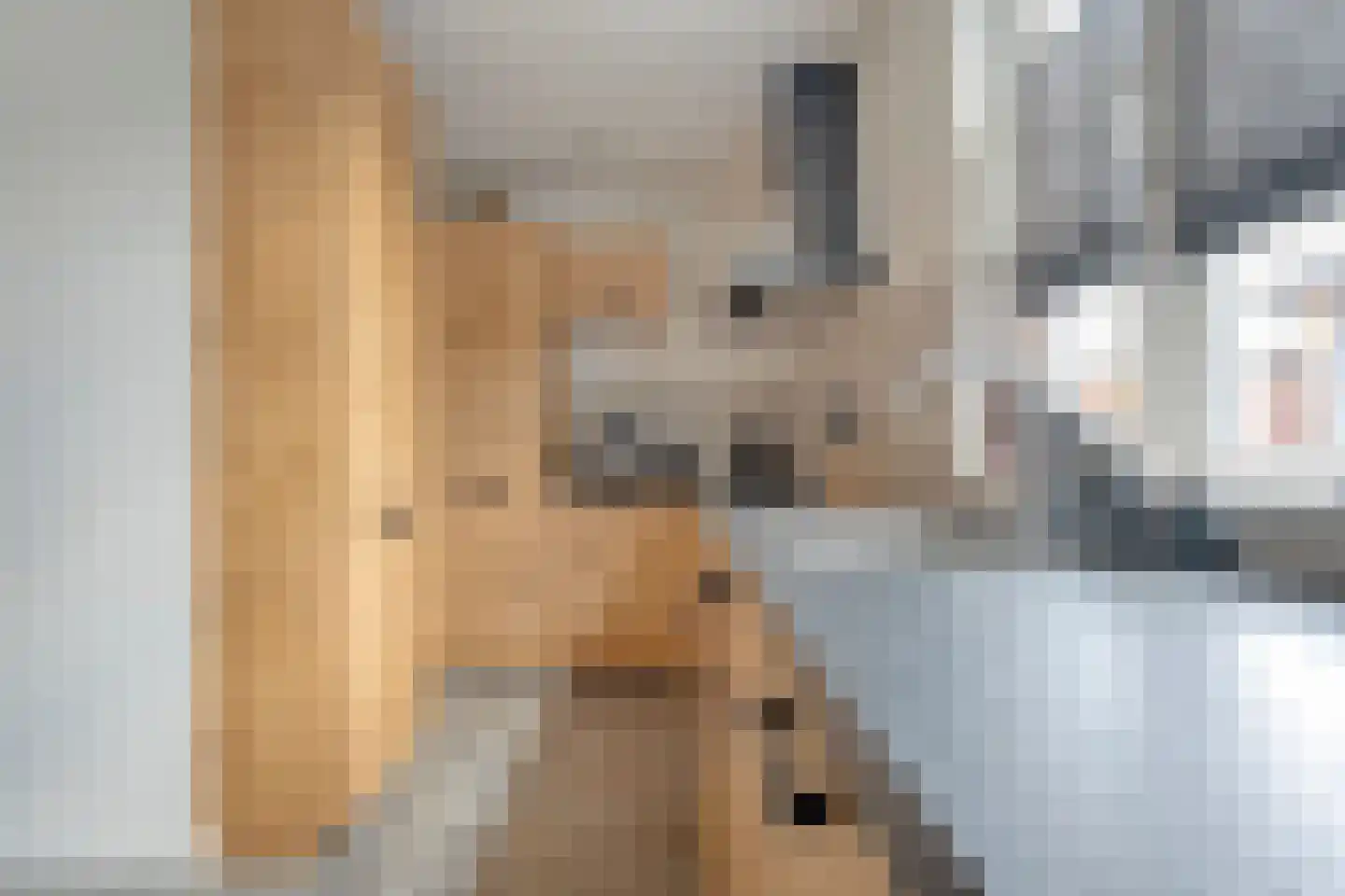 Dikkerslaan 16 Borne thumbnail 19