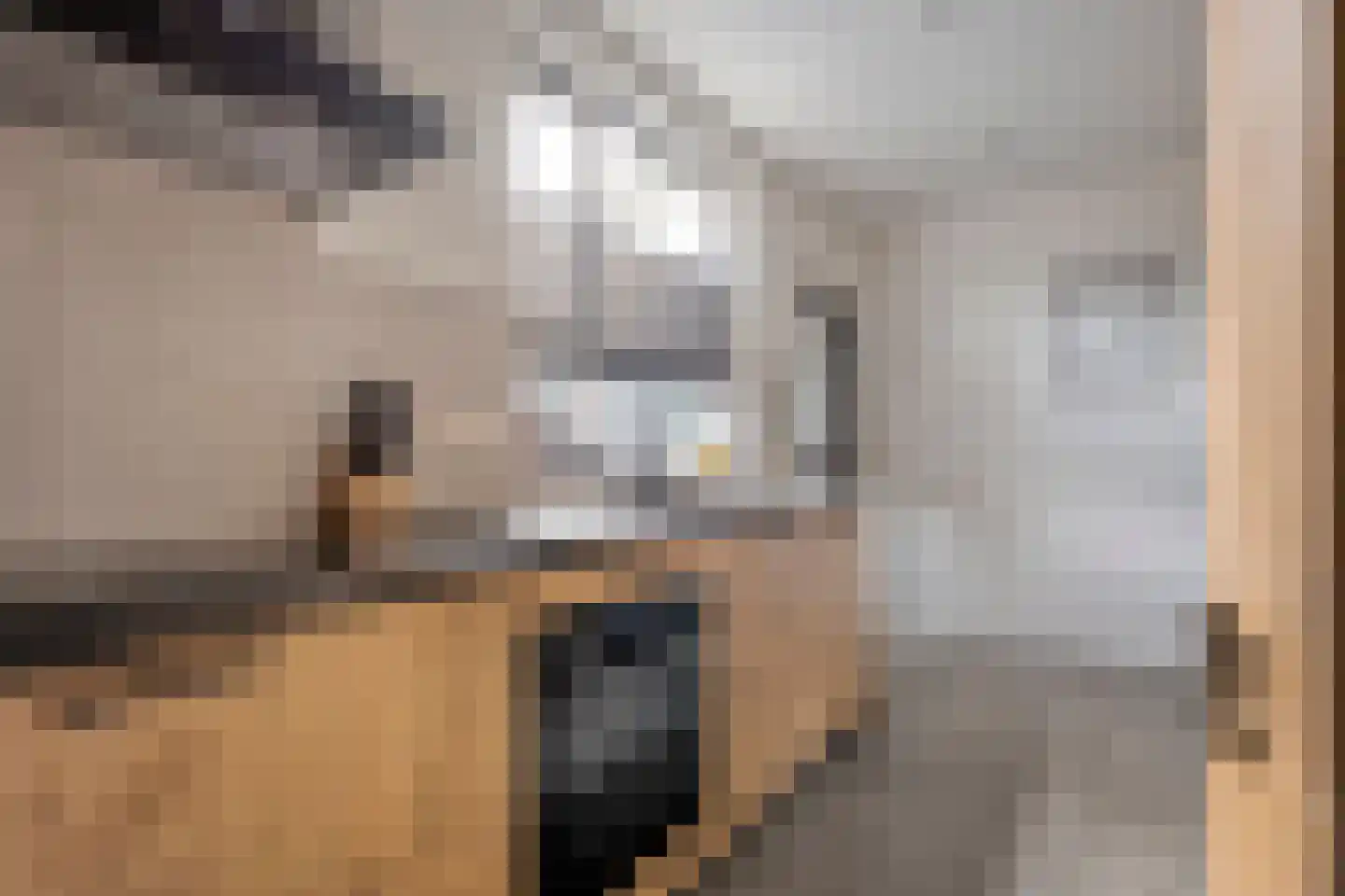 Dikkerslaan 16 Borne thumbnail 20