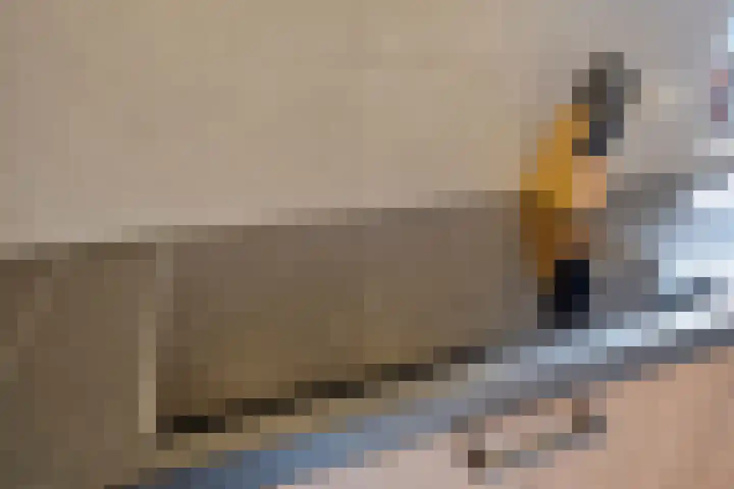 Dikkerslaan 16 Borne thumbnail 21