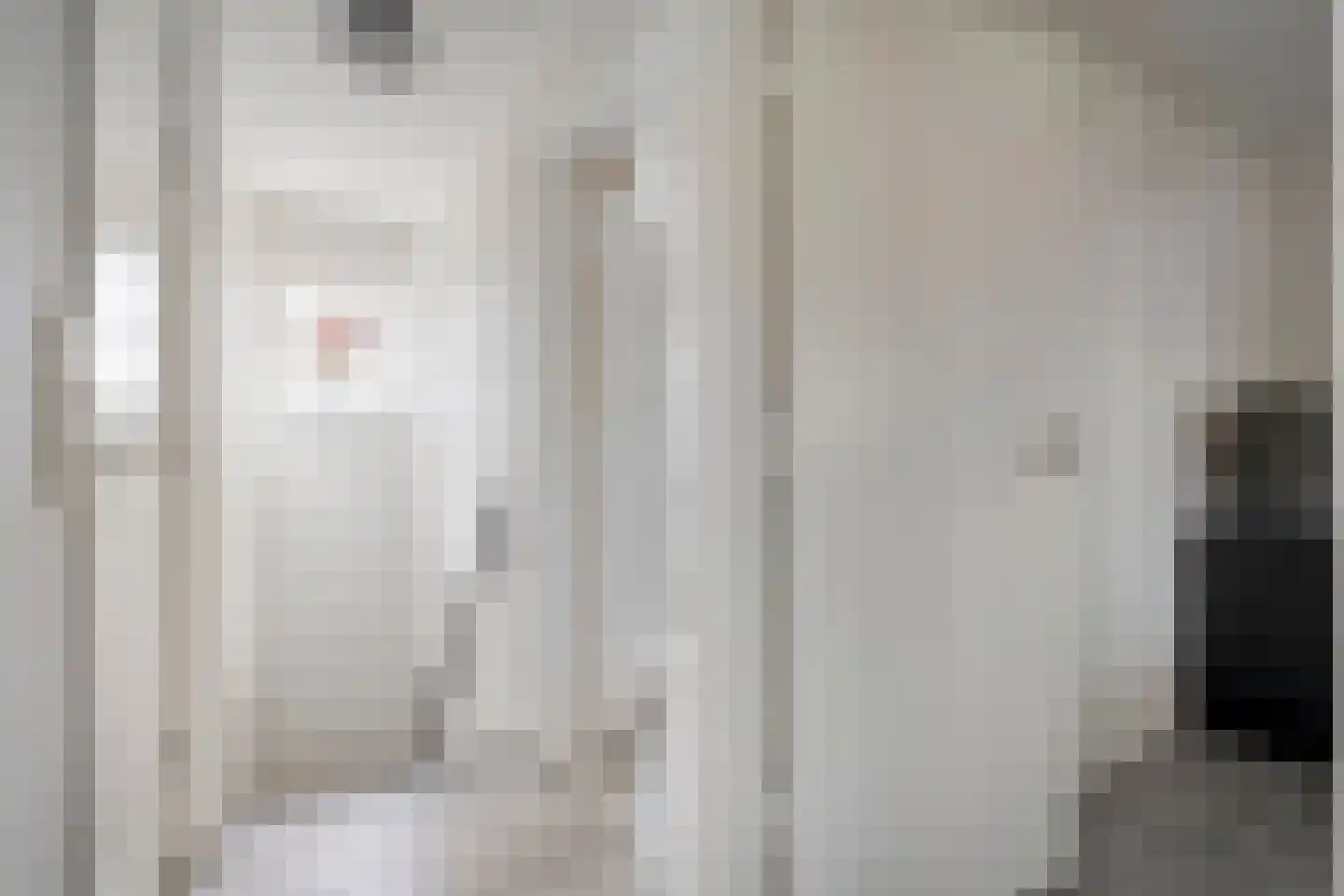 Dikkerslaan 16 Borne thumbnail 24
