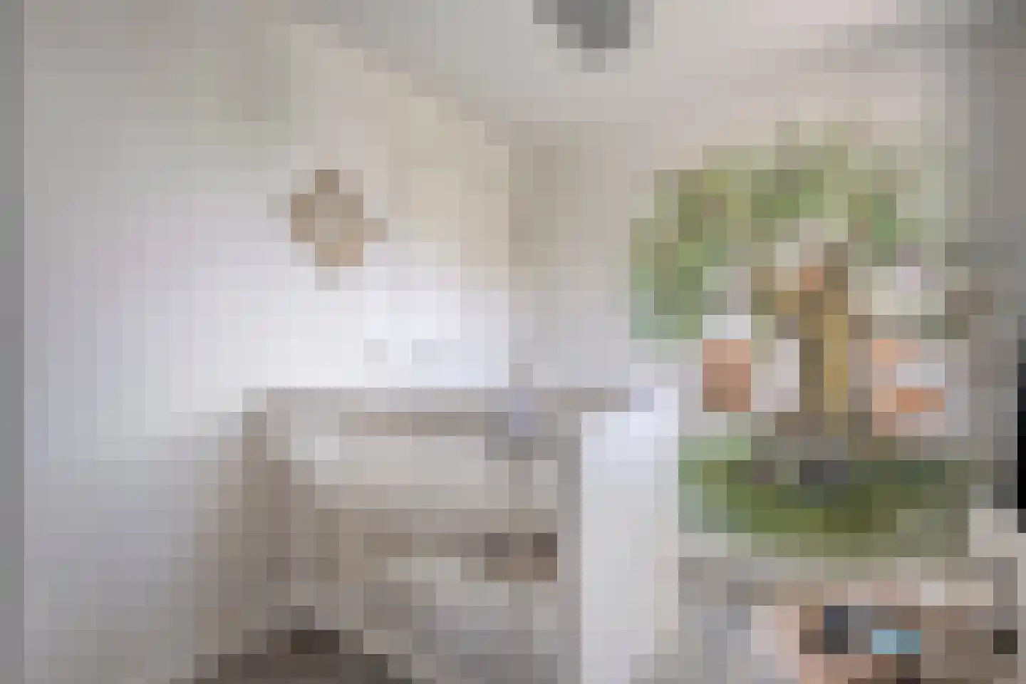 Dikkerslaan 16 Borne thumbnail 31