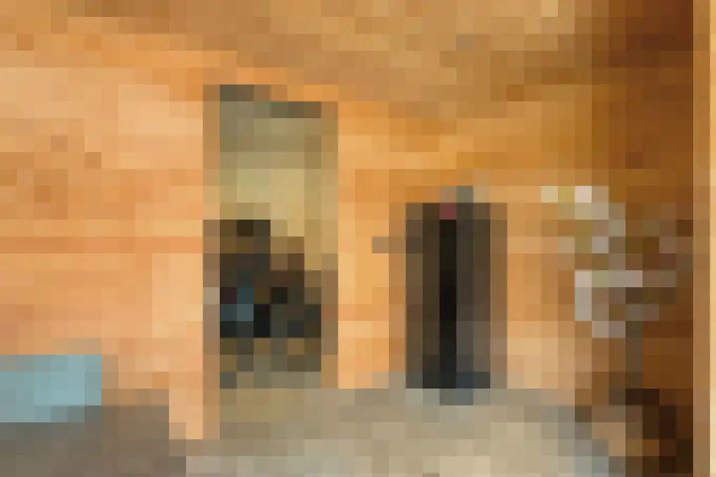 Dikkerslaan 16 Borne thumbnail 36