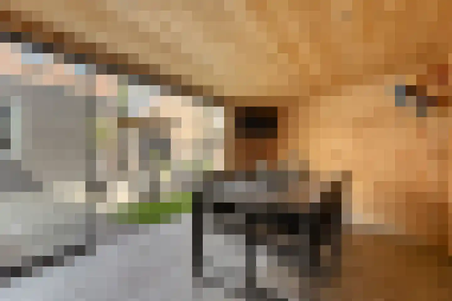 Dikkerslaan 16 Borne thumbnail 37