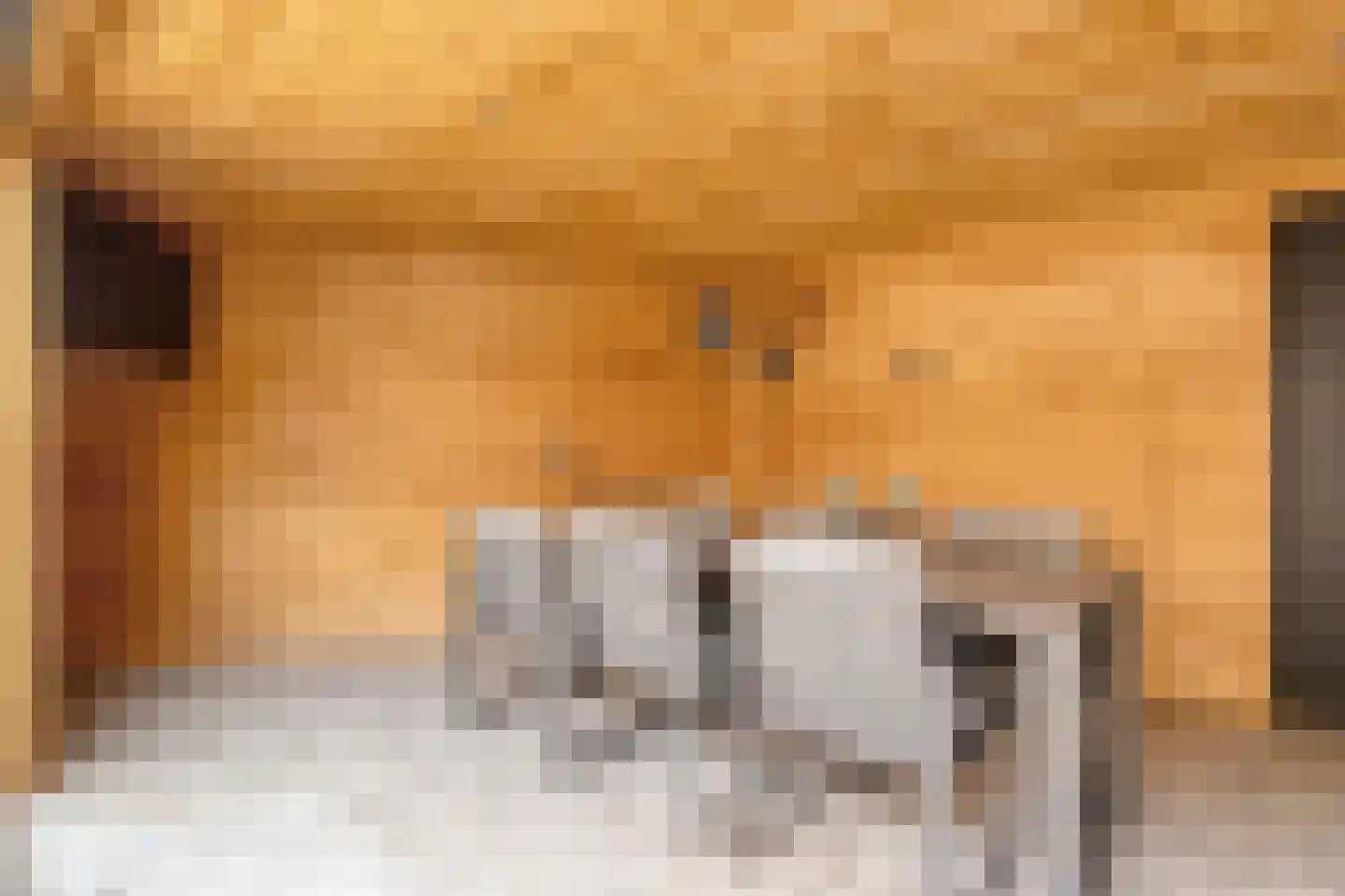 Dikkerslaan 16 Borne thumbnail 38