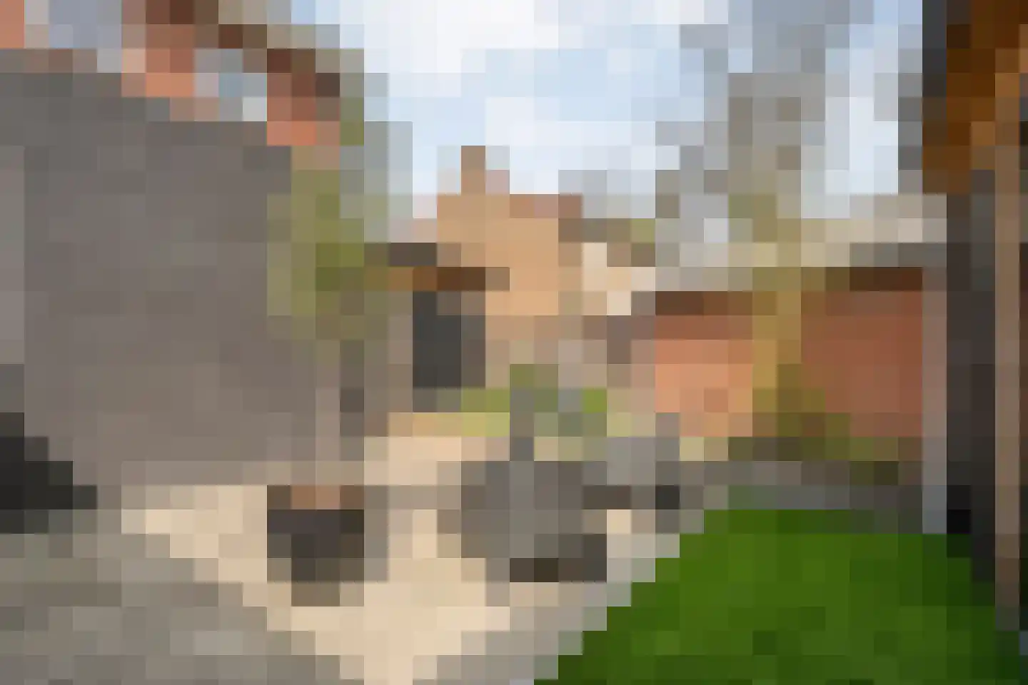 Dikkerslaan 16 Borne thumbnail 39
