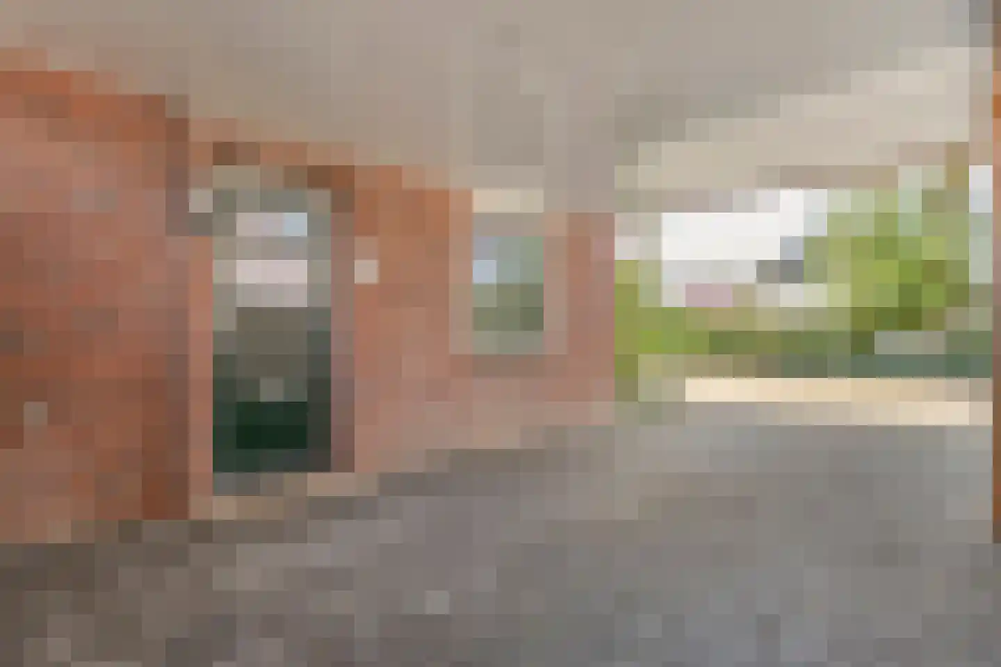 Dikkerslaan 16 Borne thumbnail 7