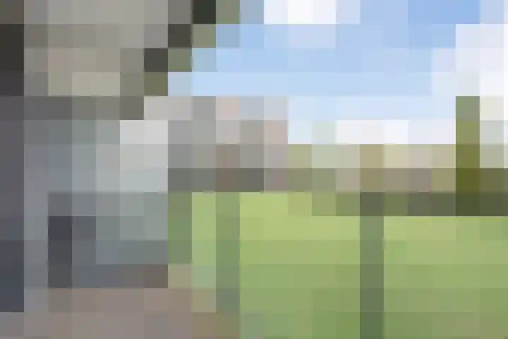 Dikkersstraat 1 104 Ommen thumbnail 35